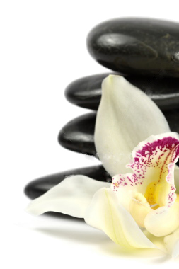 Smooth stacked stones with a white orchid